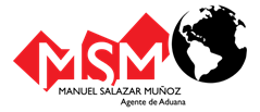 aduanasalazar.cl