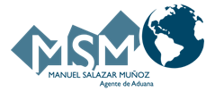 Logo Agencia de Aduana MSM Azul