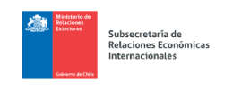 partners de la subsecretaria de relaciones económicas internacionales para tramites aduaneros