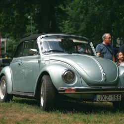 Ejemplo de admisión temporal, régimen especial. Colección de autos.